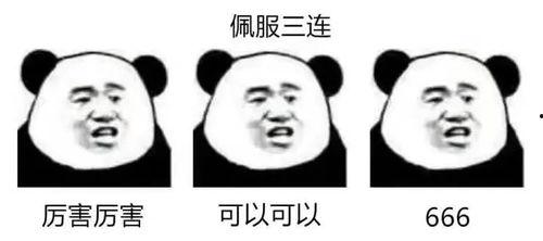 网红现代小朋友视频