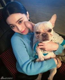 明星和萌宠,温馨瞬间，治愈心灵