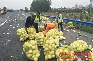 青田吃瓜群众事件,一场网络舆论的风波与反思