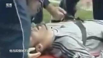 正月属狗明星,盘点正月属狗的璀璨明星