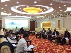 南宁市岳塘区新闻头条,聚焦区域发展新动态，共绘美好未来蓝图