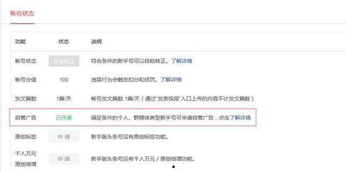 头条自媒体经验分享文案,揭秘高效内容创作与运营秘诀