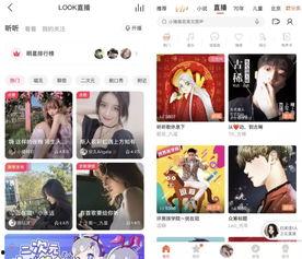 头条直播别人可以打赏不,观众打赏助力主播精彩呈现