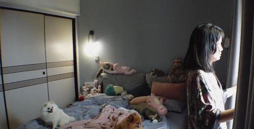 明星怎么摆玩具床,玩具床摆放的艺术与时尚