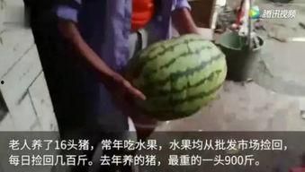 网上吃瓜视频,揭秘娱乐圈幕后真相