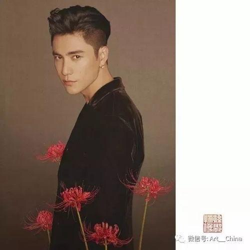 女男明星壁纸,女明星与男明星风采壁纸集锦