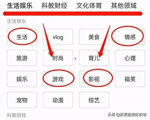 头条怎么打开视频收益,头条平台操作指南