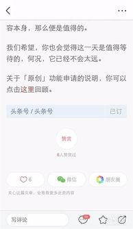 头条号怎么设计赞赏平台,头条号赞赏设计指南