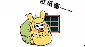 吃瓜打瞌睡,揭秘娱乐圈的“小憩时光”