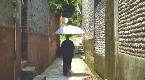 金山花园吃瓜事件,邻里纠纷背后的社区和谐挑战