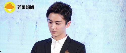 娱乐圈吃瓜陈晓是谁